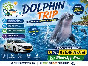 Dolphin trip
